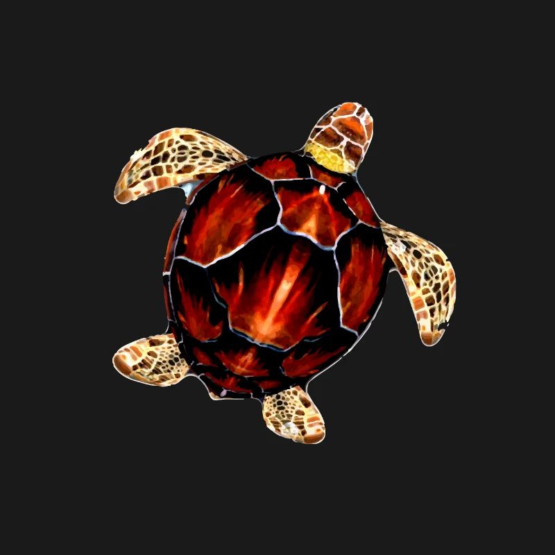 Pattern sea turtle illustration