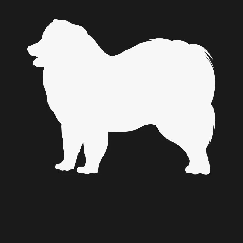 Samoyed