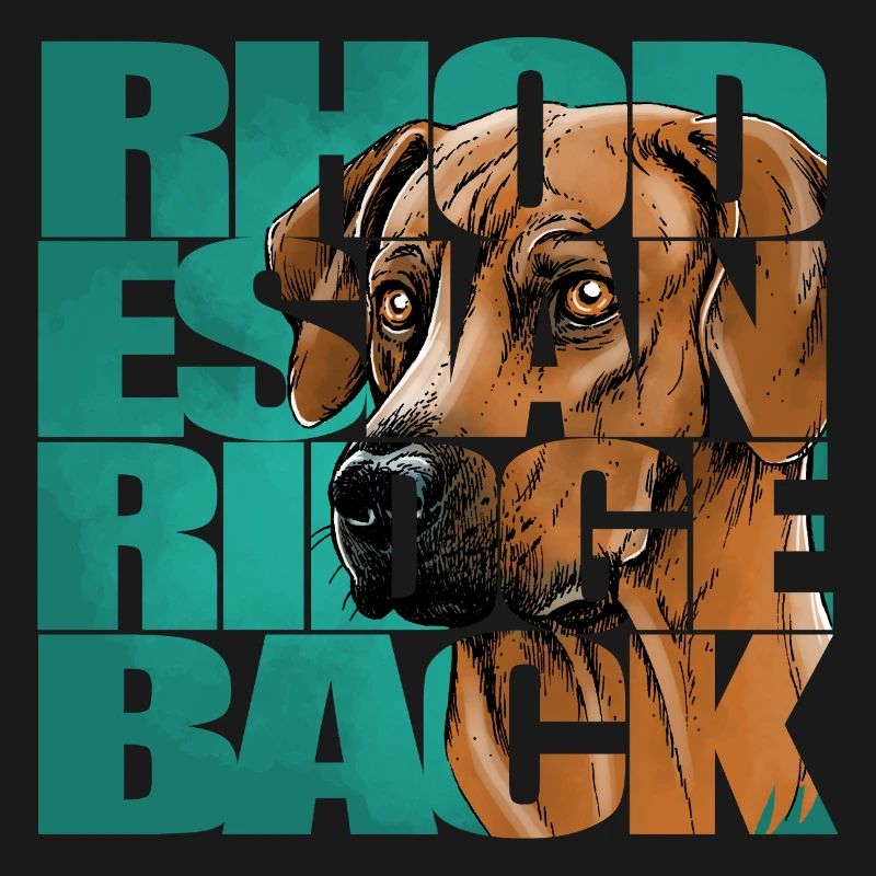Rhodesian Ridgeback