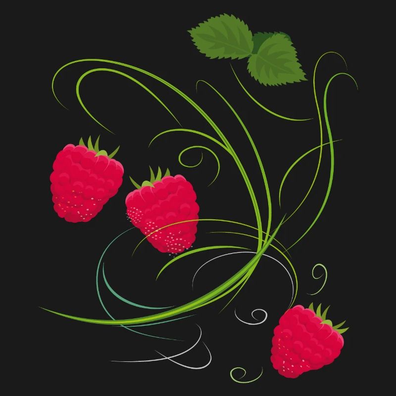 Raspberry, Fruit