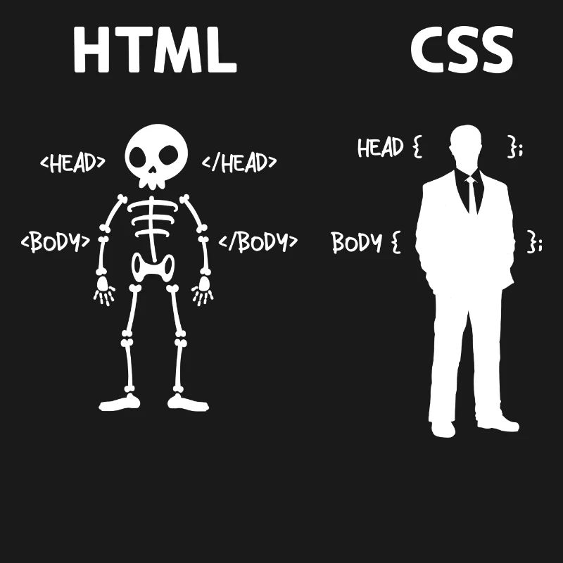 Code Css C++ Php Java Developer Code Skripting