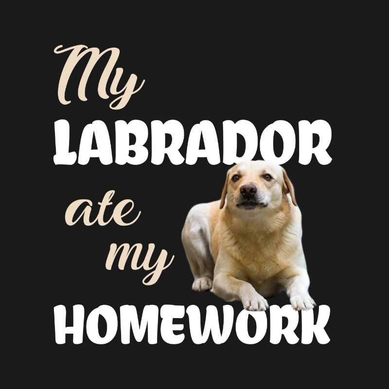 Devoirs du Labrador