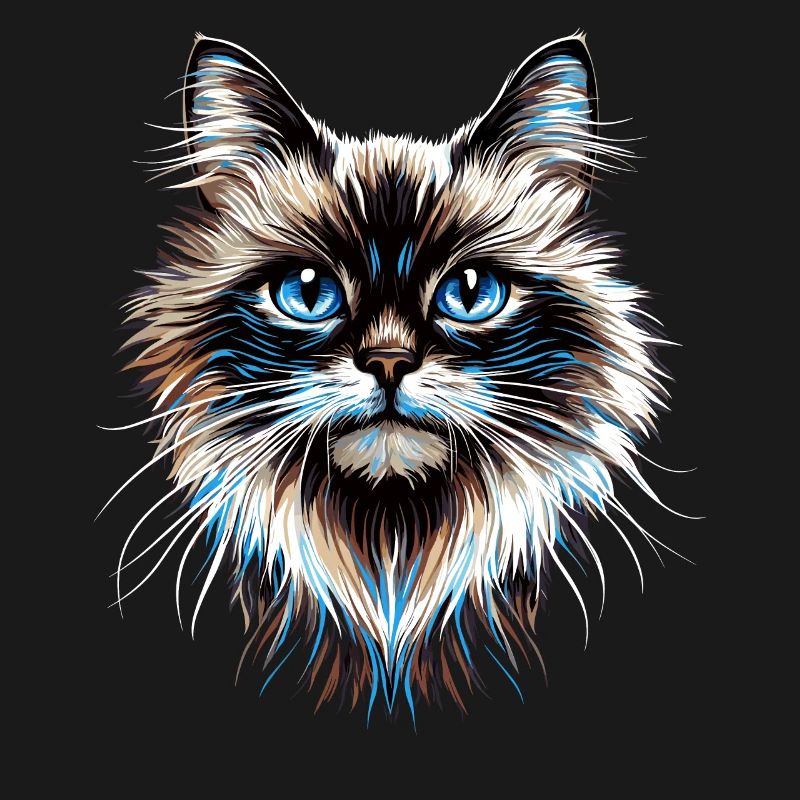 Chat Ragdoll Chat Ragdoll Chat Mignon Chats Ragdoll