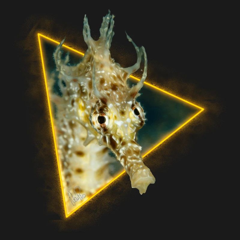 Hippocampe dans un triangle