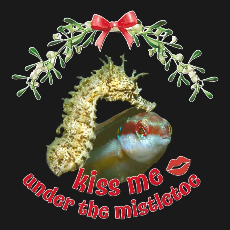 Baiser de gui – Salutations de Noël en mer