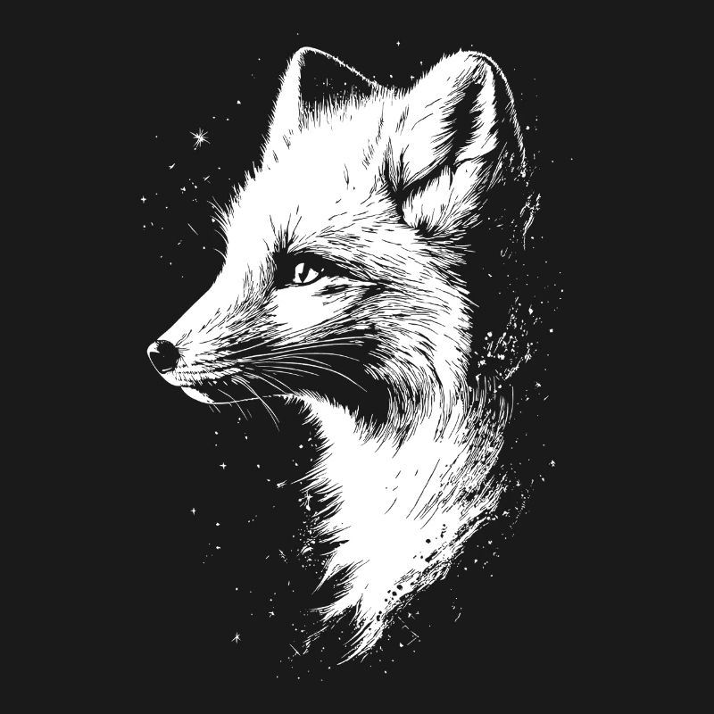 Polarfuchs Schneefuchs Eisfuchs Süßer Weißer Fuchs