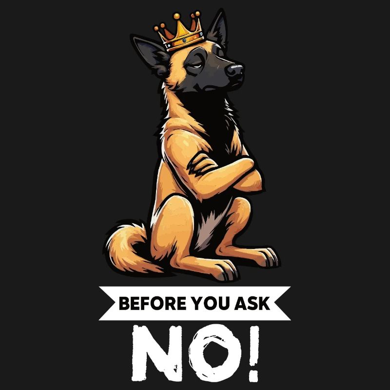 Before You Ask Malinois Belgian Shepherd Dog