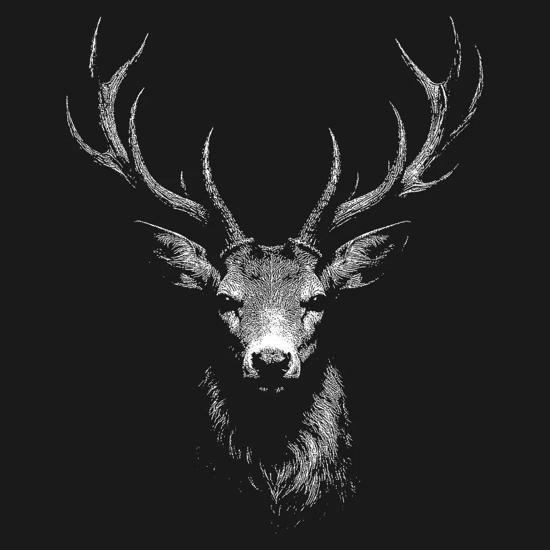 roe deer