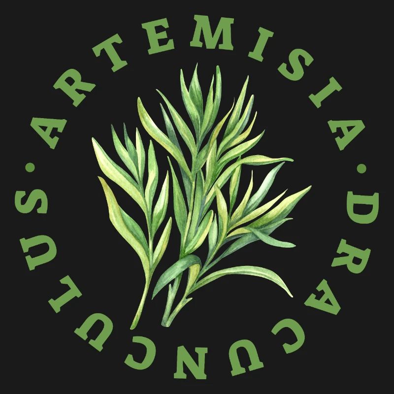 Artemisia Dracunculus Blattemblem