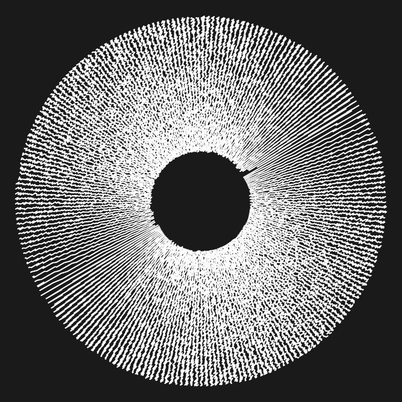 Iris Ringburst Radial Pattern