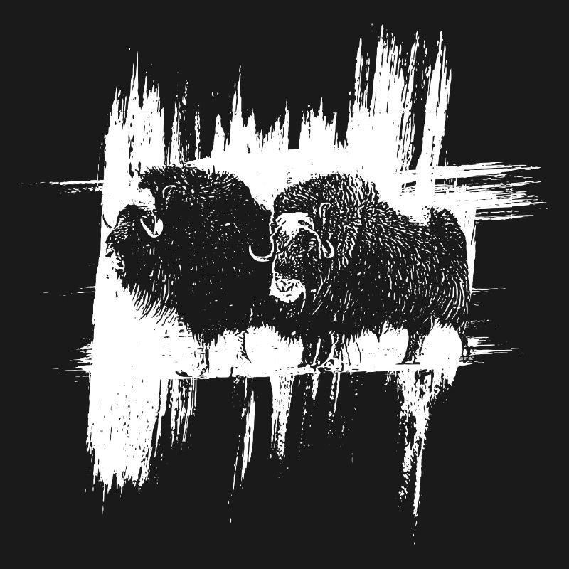 Les Bisons