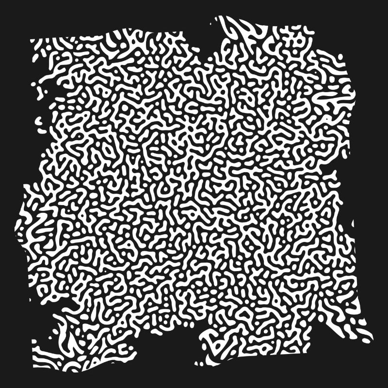 Turing Pattern Blanc - Ver