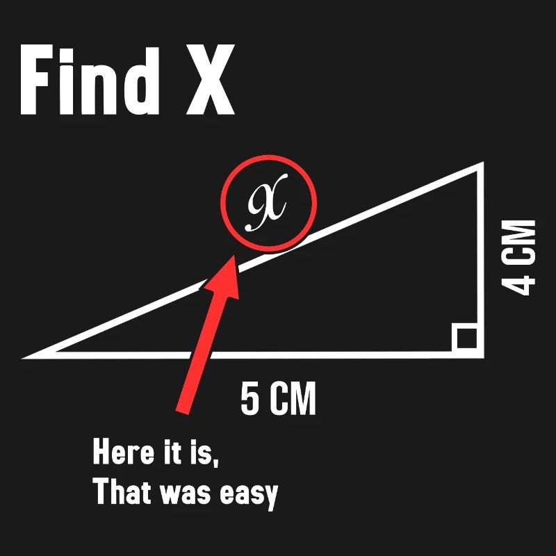 Find X Math Lover Mathematician Math Teacher