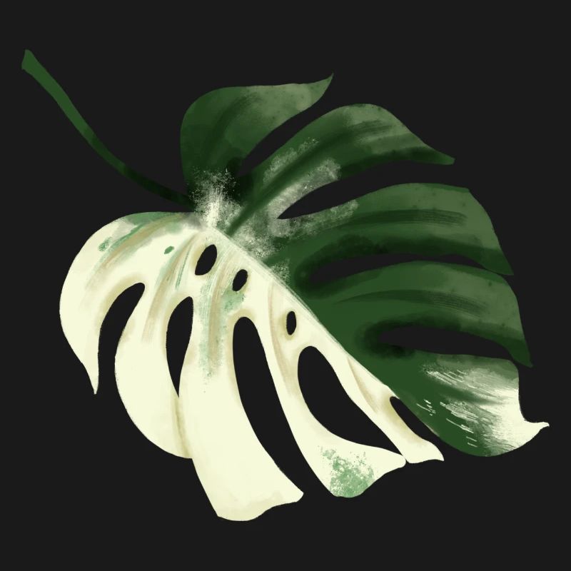 Conception premium Monstera