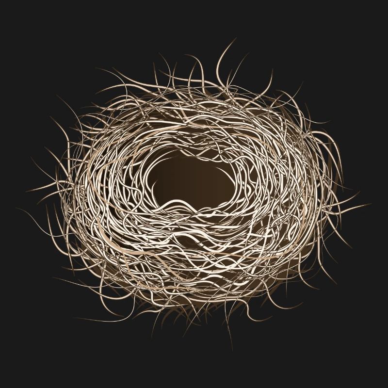 empty bird's nest or easter basket for spring