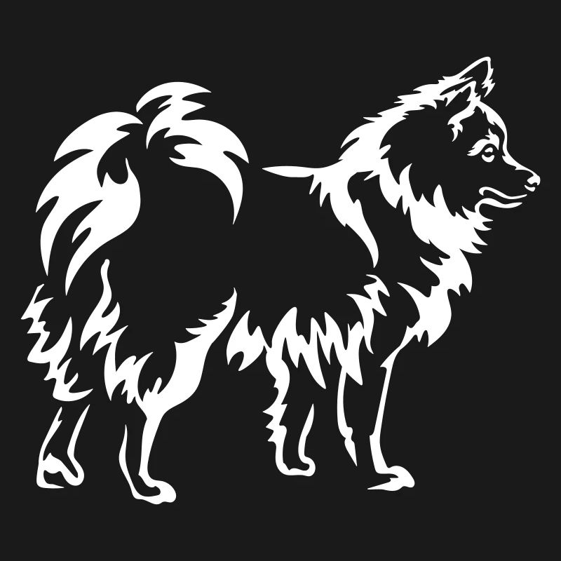 Spitz "Black Edition"
