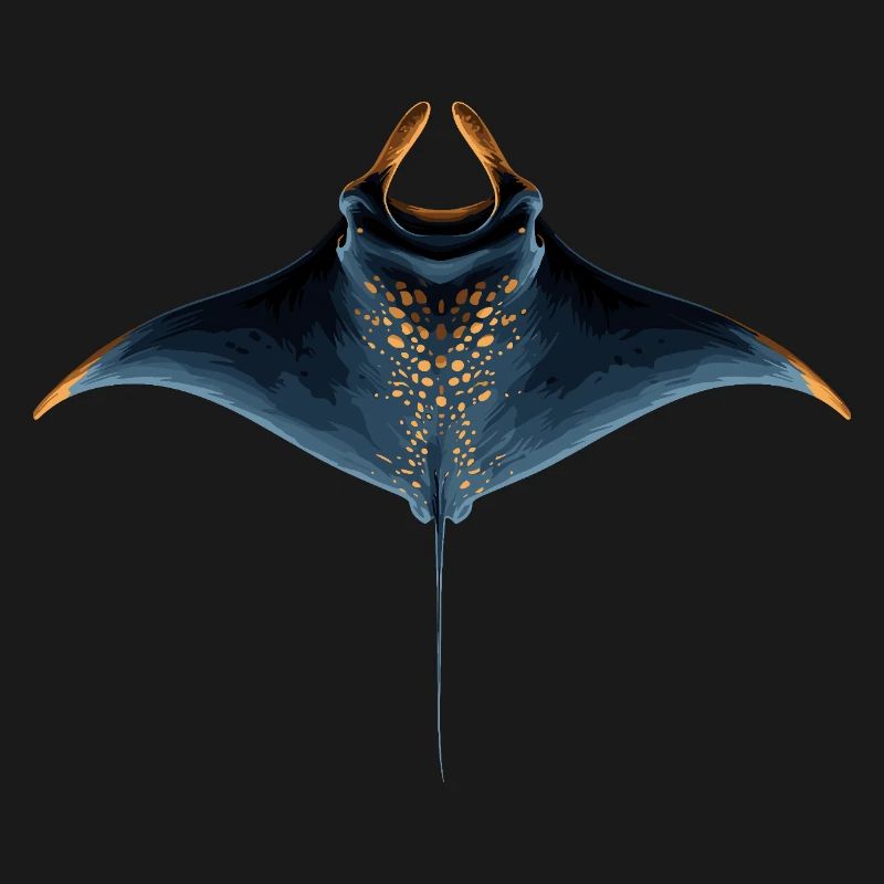 Manta Ray, Devil Ray, Stingray, Diver