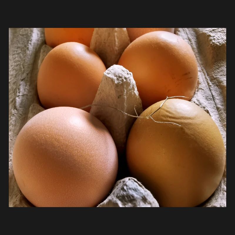 Eggs