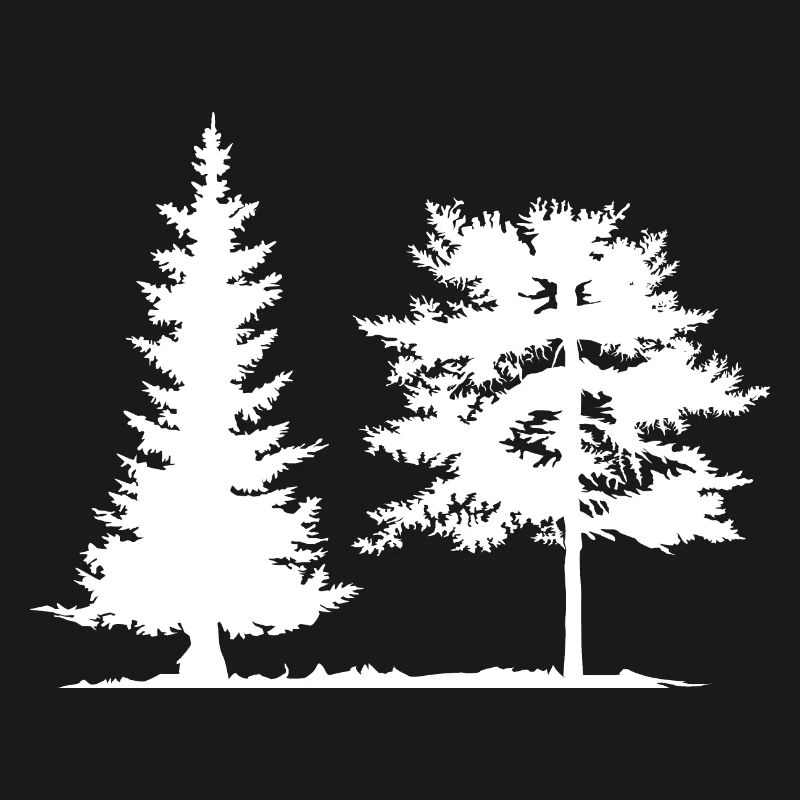Tree, Spruce, Forest, Camping, Nature, Mixed Forest, Pine