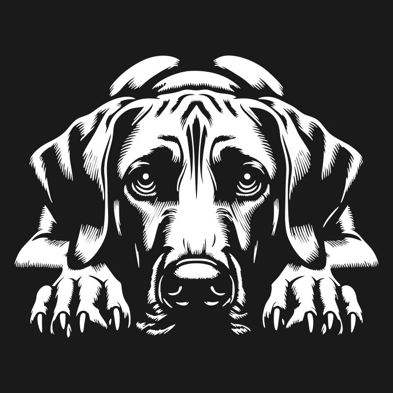 Rhodesian Ridgeback "Black Edition"