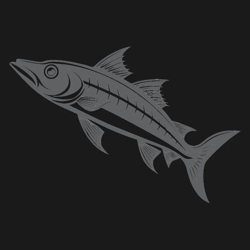 Barracuda
