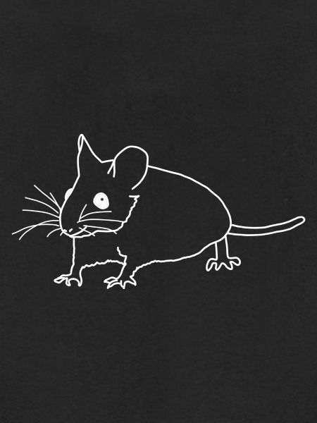 Mouse lineart