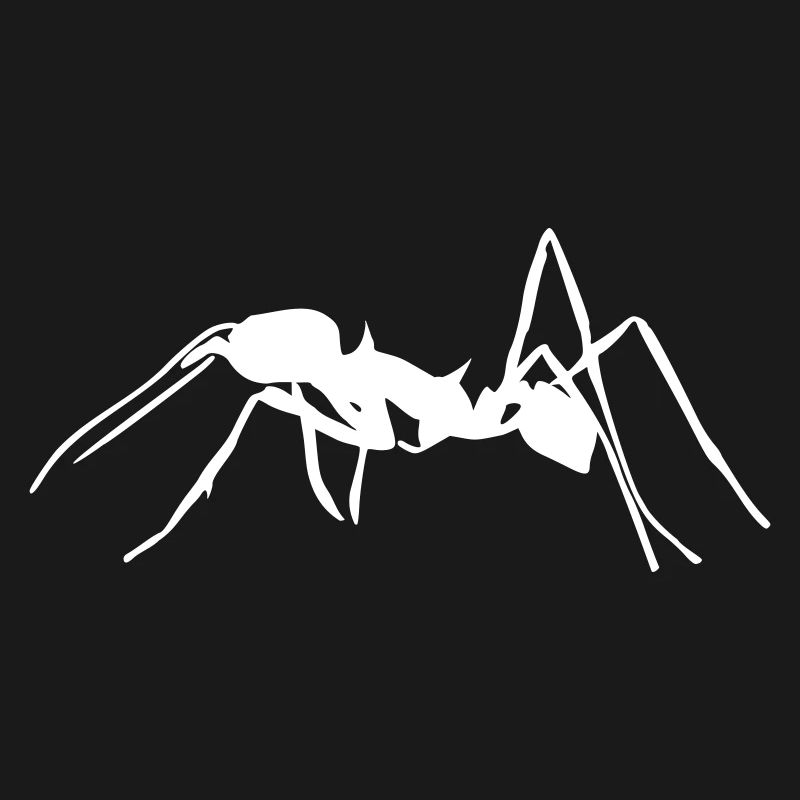 Ant