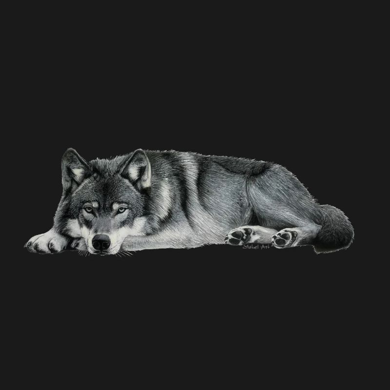wolf