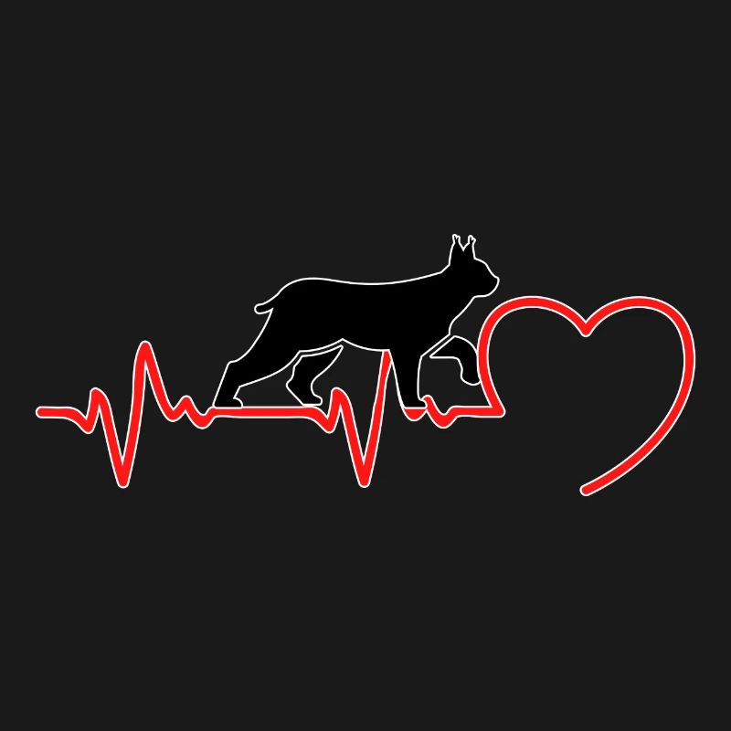 Der Luchs Katze ein Herzschlag in Liebe
