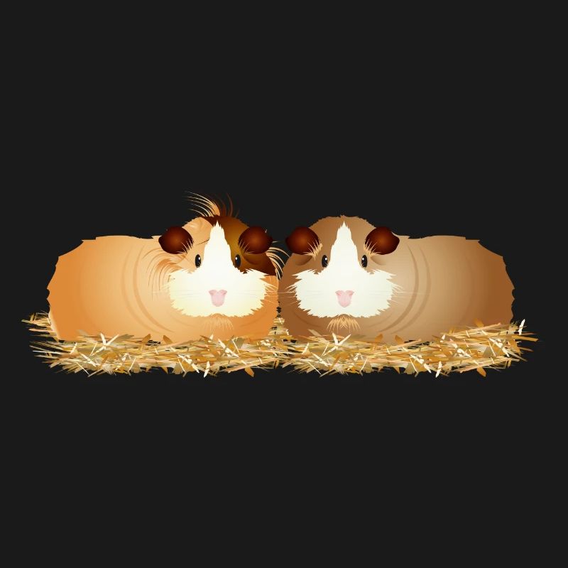 deux mignons cochons d’Inde ensemble en paille