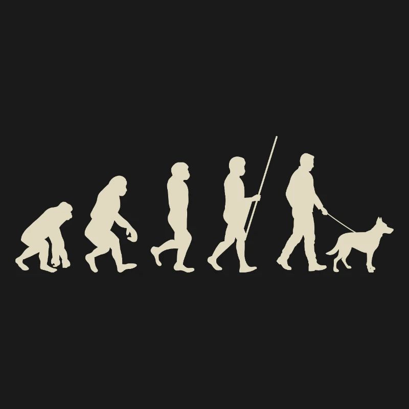 Illustration de l’évolution de l’humanité