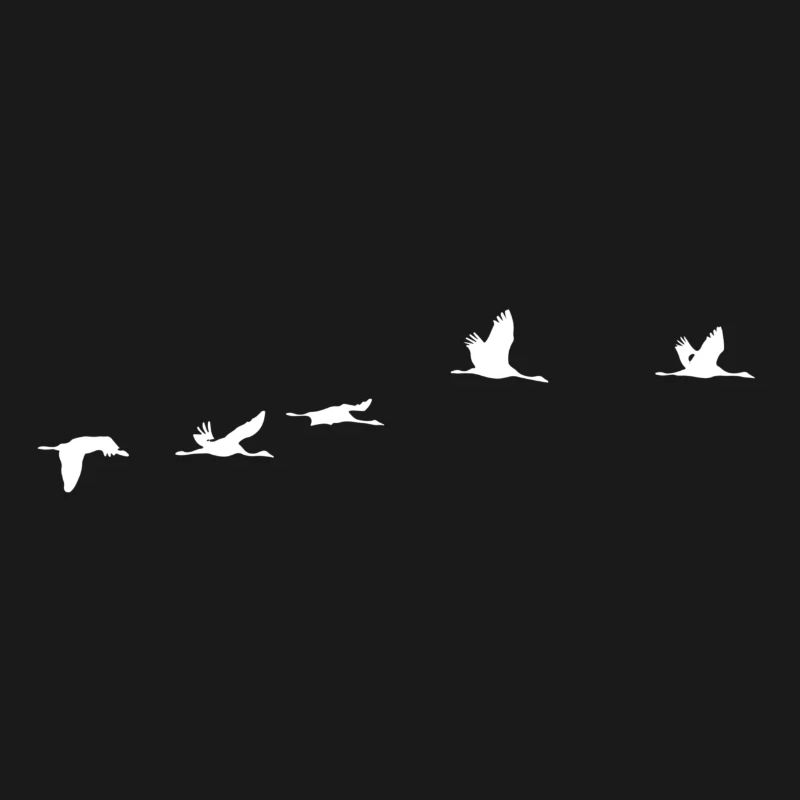 Oiseaux migrateurs blanc grue