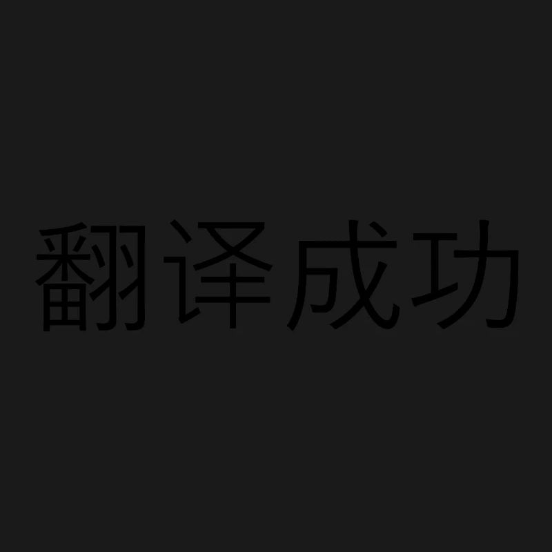 Traduction réussie – 翻译成功
