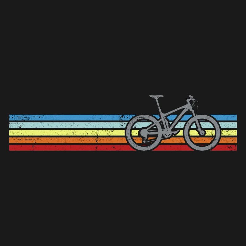 Rainbow Stripes Bicycle