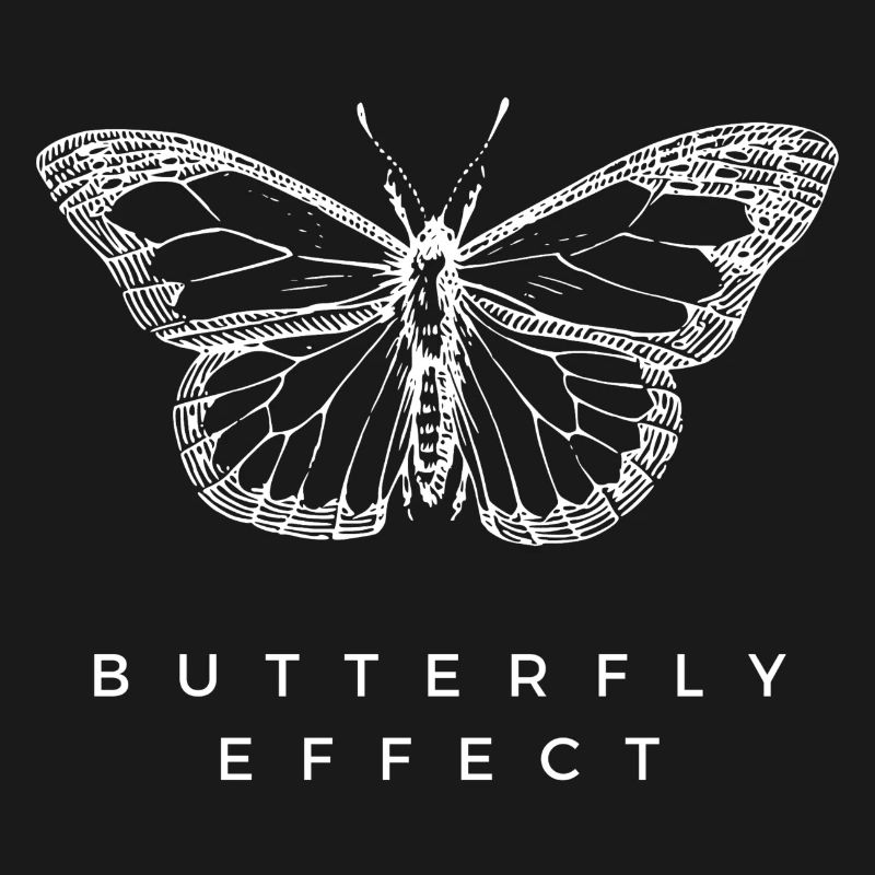 Butterfly Effect Chaos Theory Deep Thinker