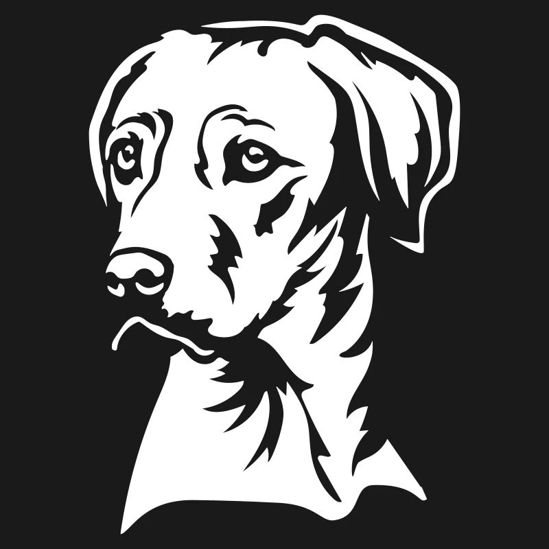 Rhodesian Ridgeback Kopf "Black Edition"