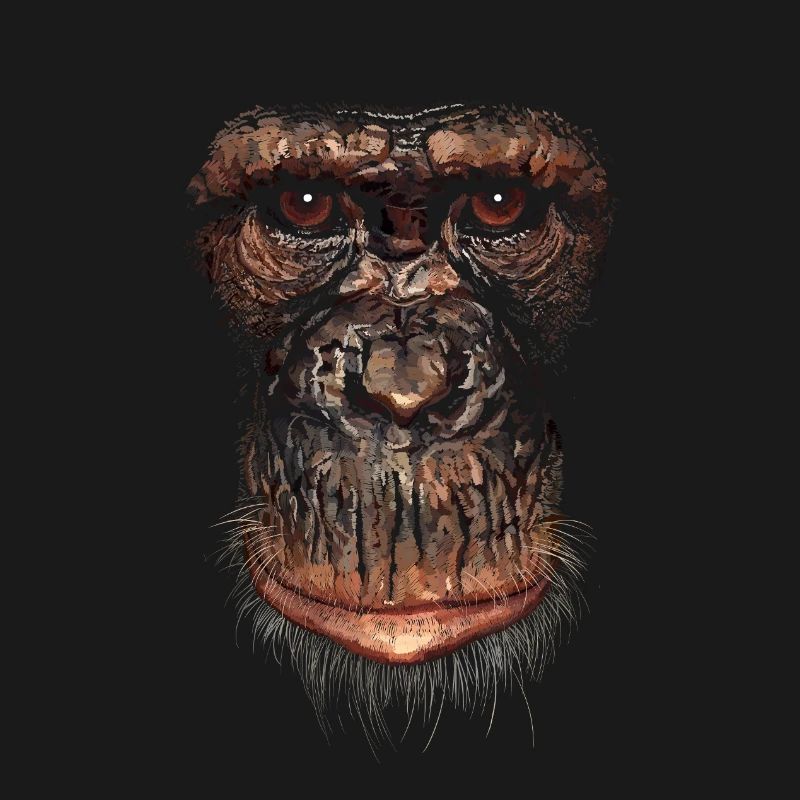 Monkey