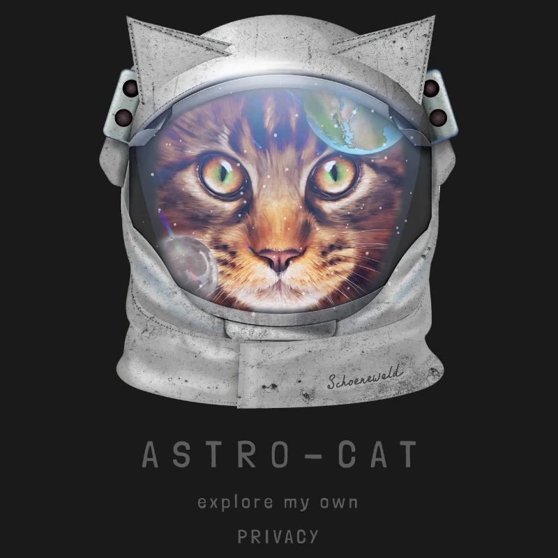 | de chat de l’espace Chat astronaute dans l’espace