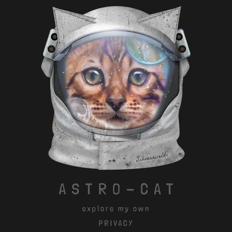 Astro chat Chat de l’espace Chat astronaute Chat dans l’espace
