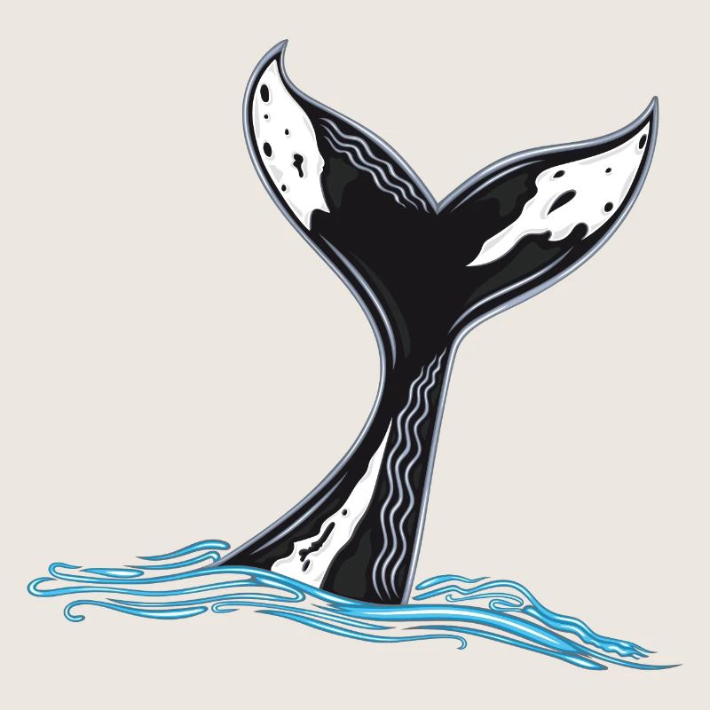 Rorqual commun