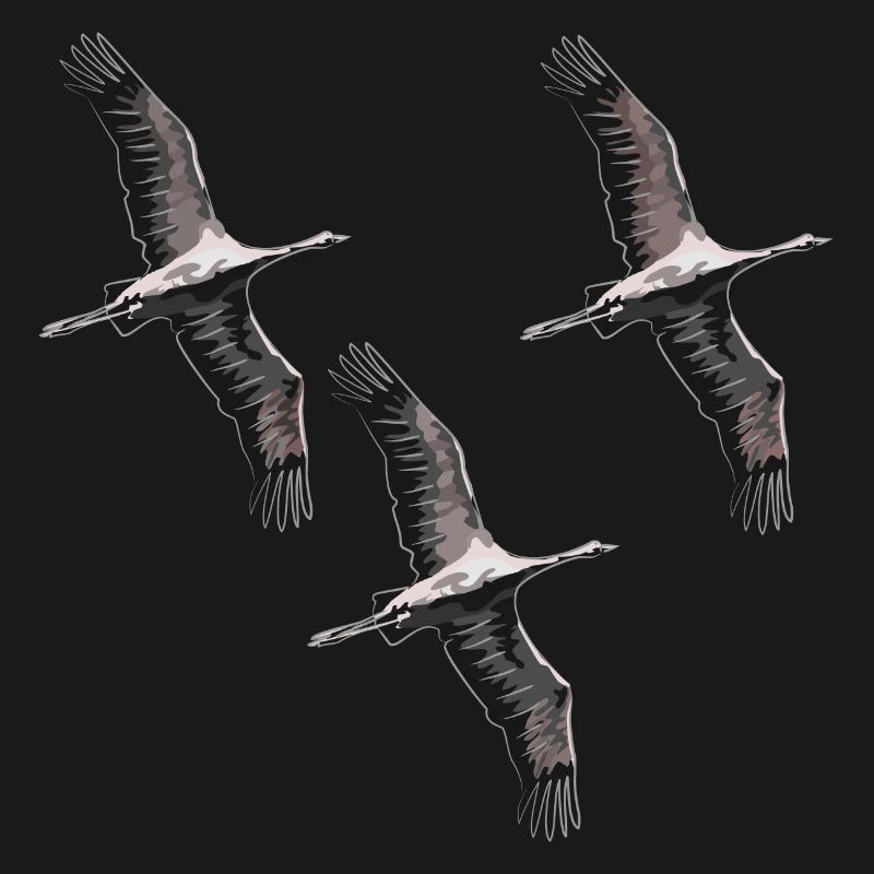 Grues migratrices d’oiseaux dans les tons de gris