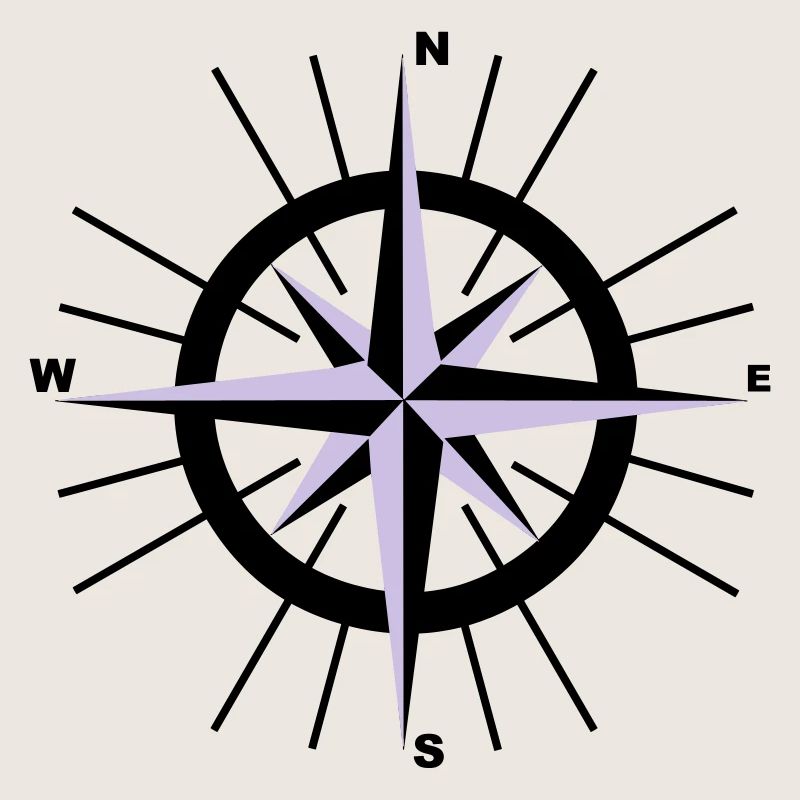 Compass nautique