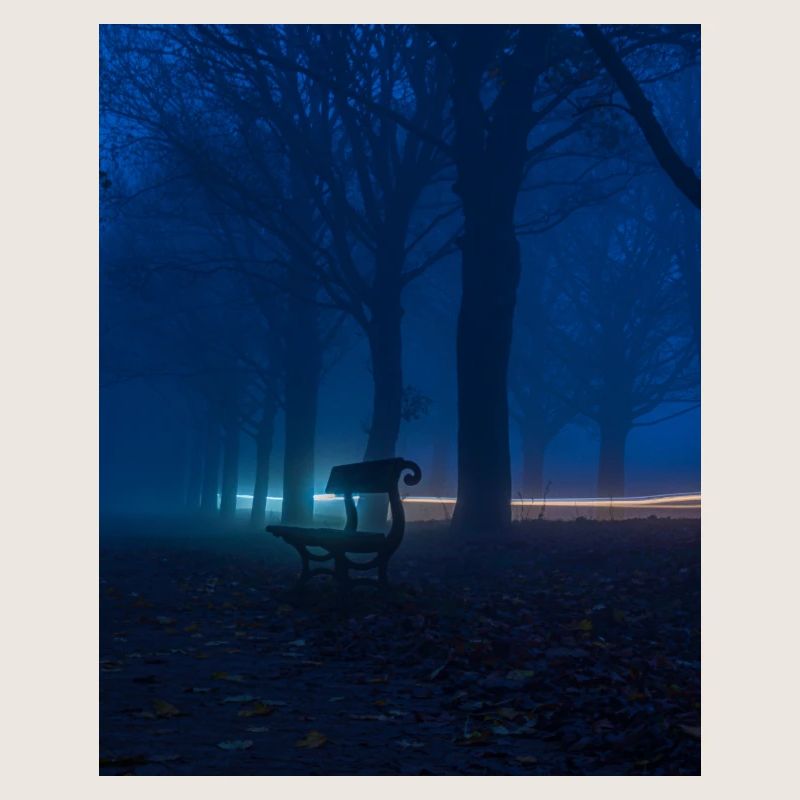 Banc solitaire dans le parc brumeux