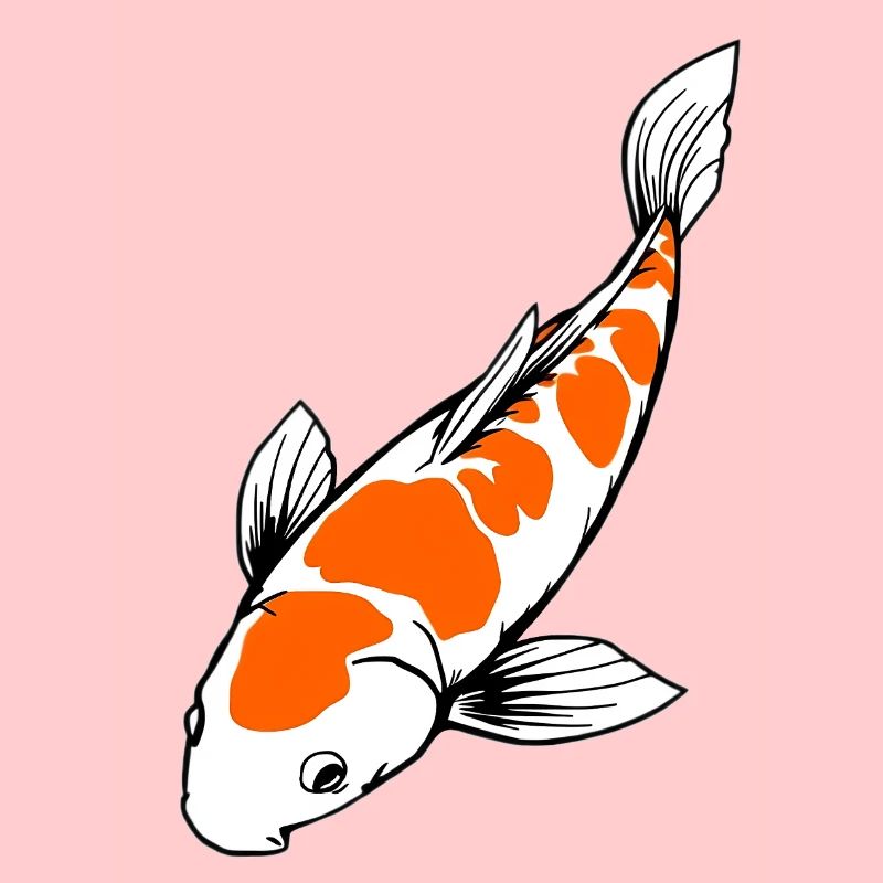 Koi Fish