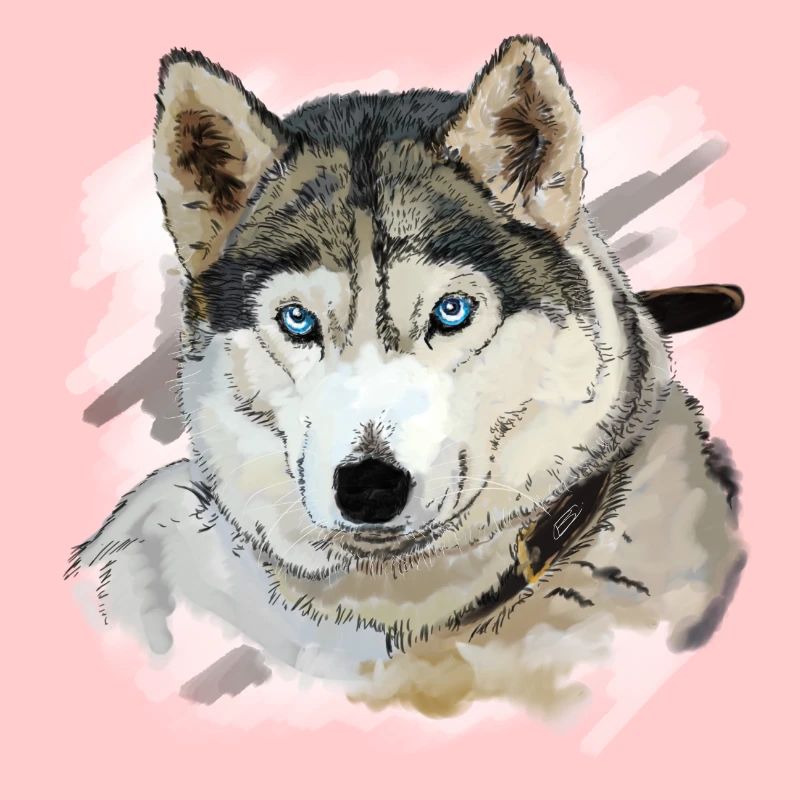 Husky