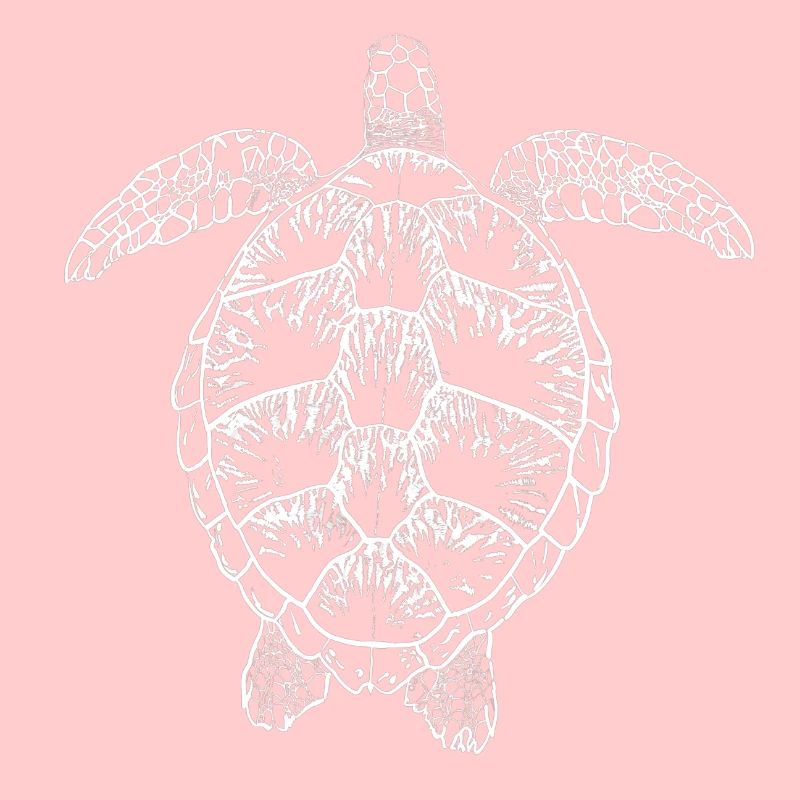 Turtle white2