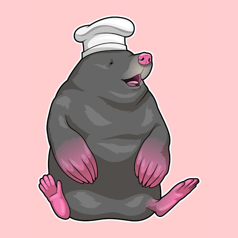 Chapeau de chef Mole Cook