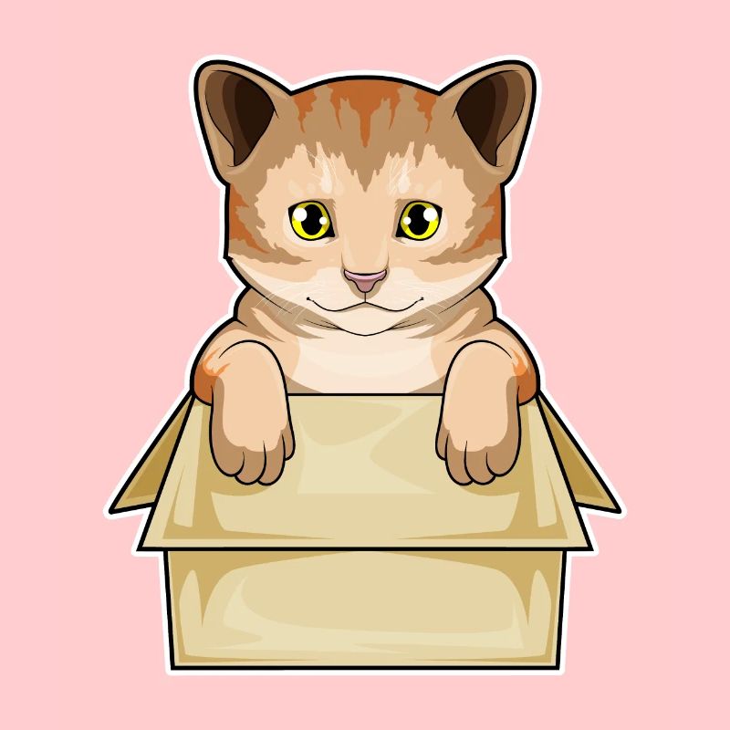 Katze Karton