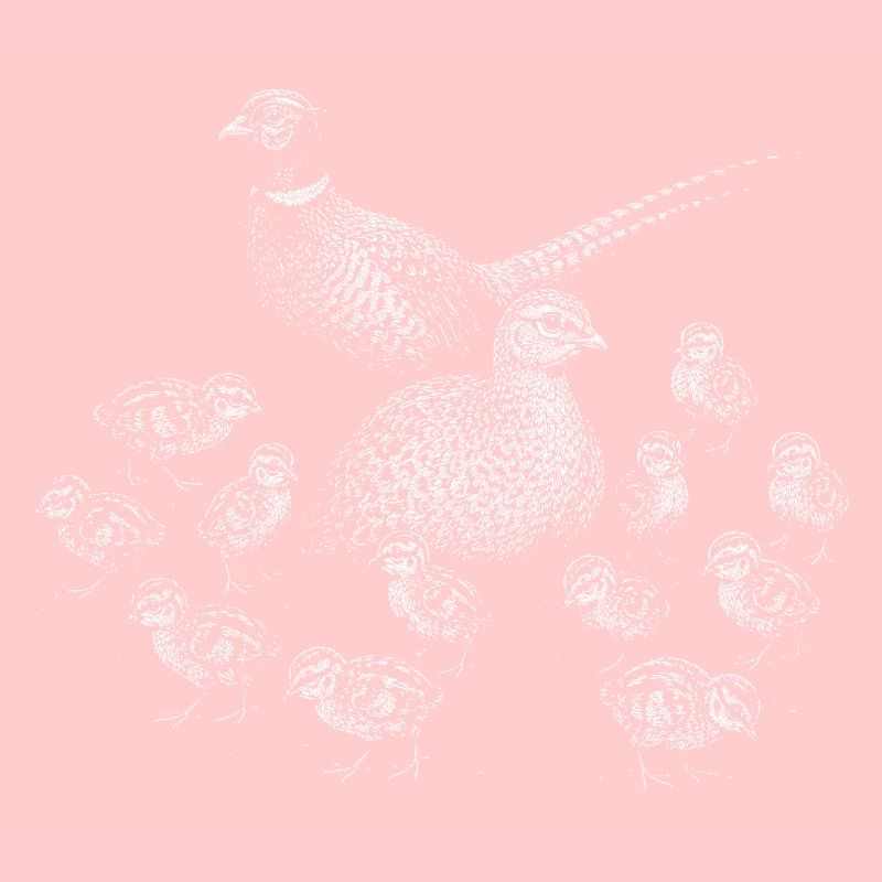 Pheasant