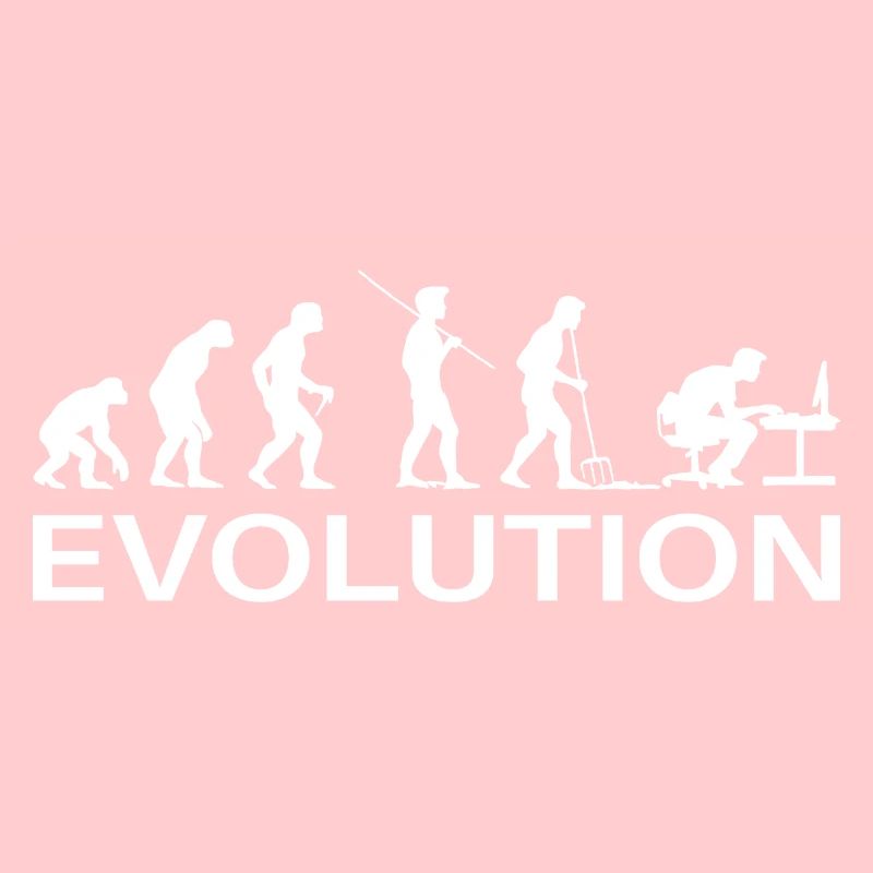 Programmeur Évolution Informaticien Développeur